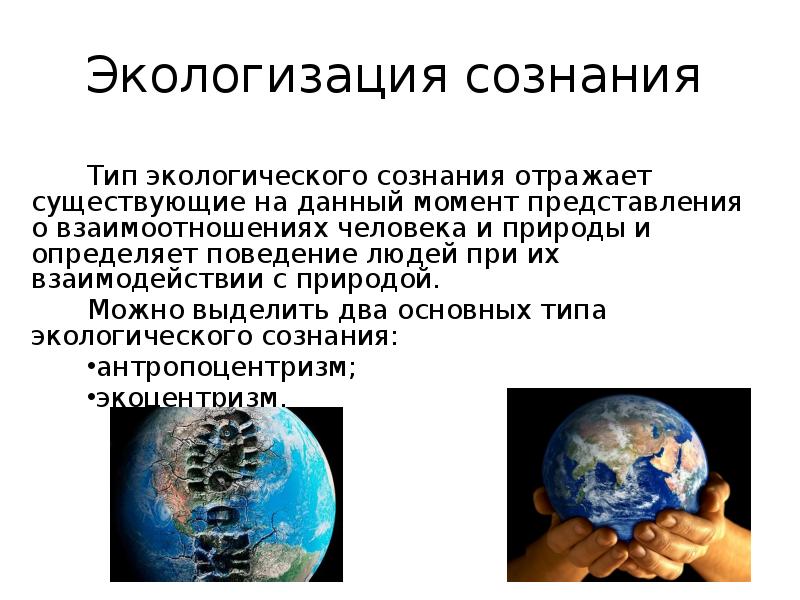 Формирование экологического сознания презентация