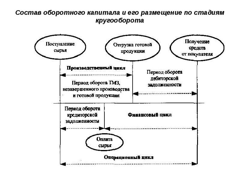 Отрицательный цикл