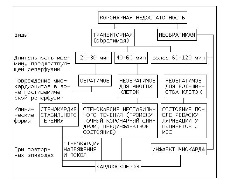 Синдром коронарной недостаточности презентация - 96 фото