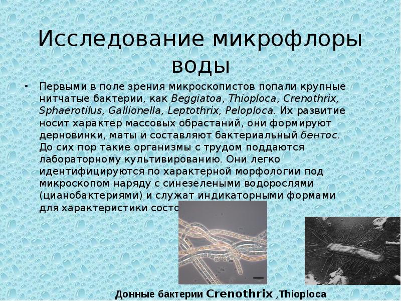 Исследование микрофлоры. Методы исследования микрофлоры воды. Методы исследования микрофлоры воды микробиология. Микрофлора воды методы исследования микрофлоры воды. Методы изучения микрофлоры воды.