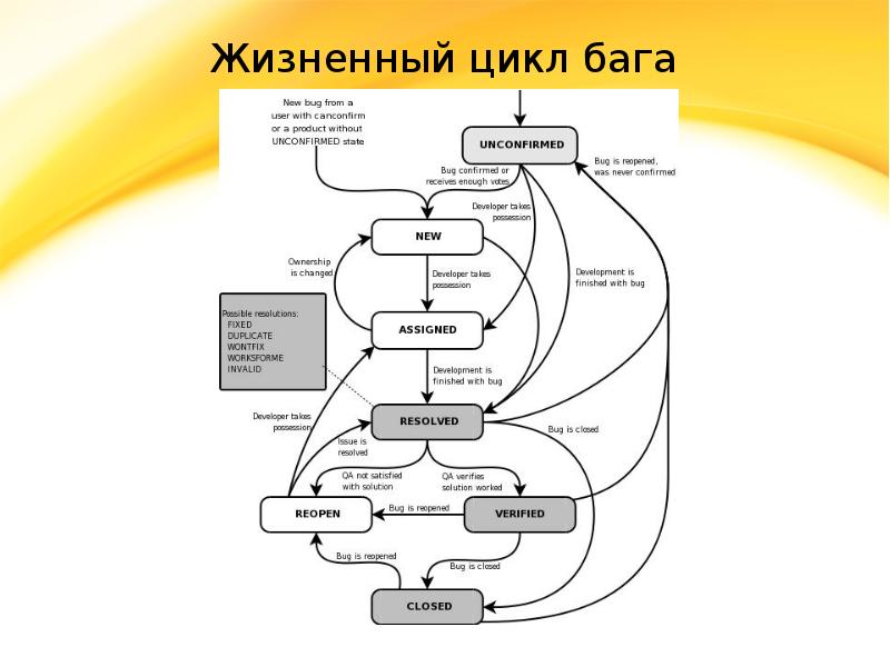 Жизненный цикл проекта тест