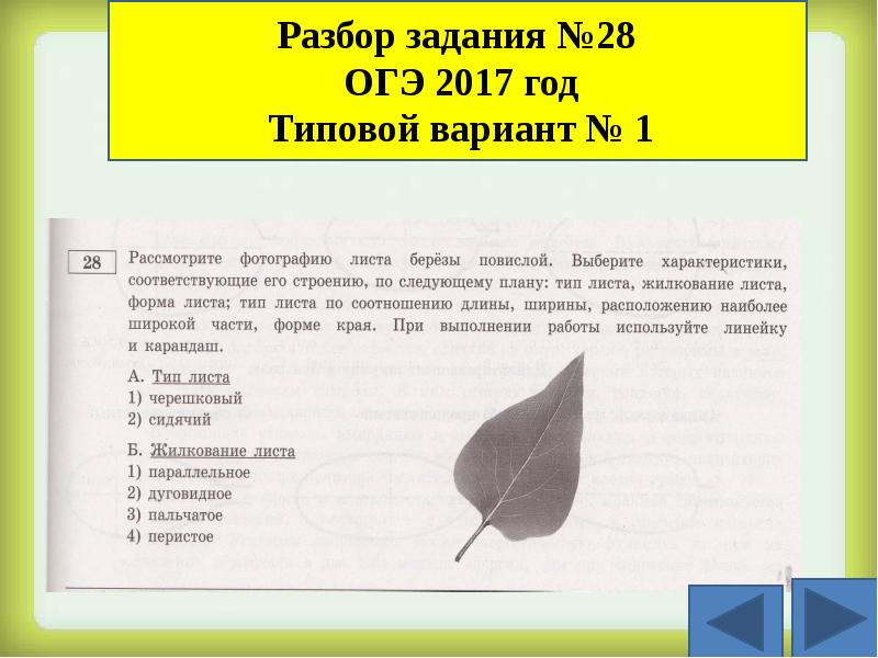 Подготовка к огэ по биологии презентация