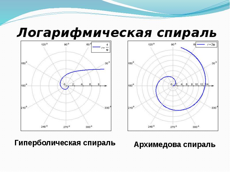 Логарифмическая спираль проект