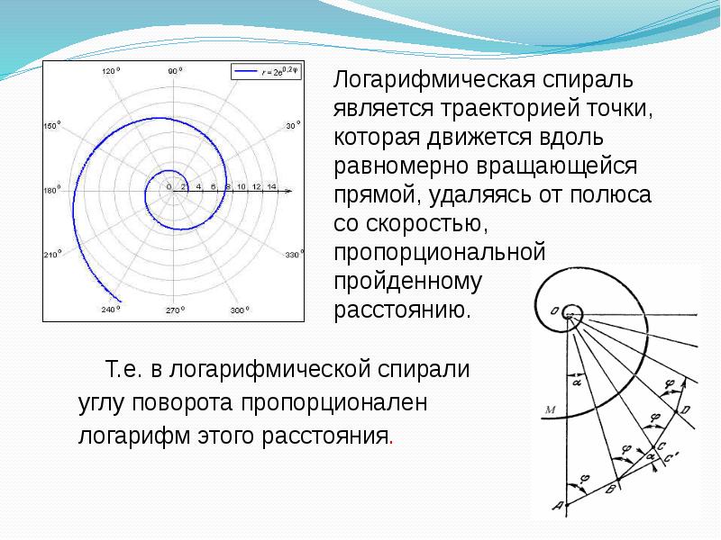 Логарифмическая спираль презентация