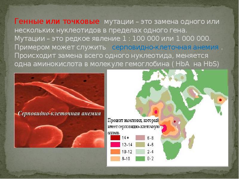 Генные мутации это