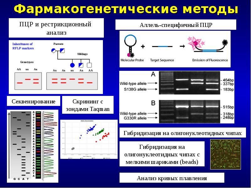 Метод полимеразной цепной реакции презентация