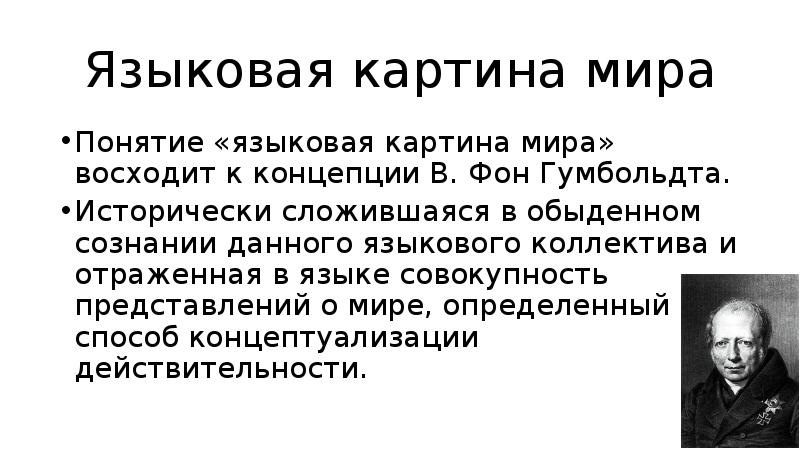 Языковая картина мира сообщение