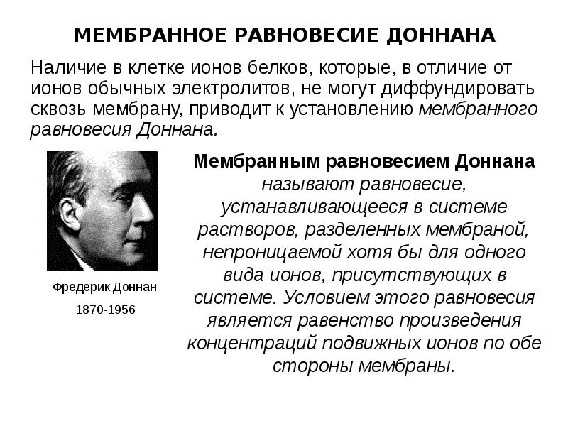 МЕМБРАННОЕ РАВНОВЕСИЕ ДОННАНА
Наличие в клетке ионов белков, которые, в отличие МЕМБРАННОЕ РАВНОВЕСИЕ ДОННАНА
Наличие в клетке ионов белков, которые, в отличие
