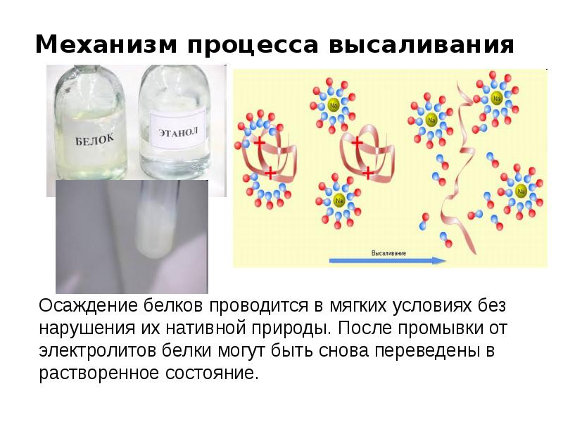 Механизм процесса высаливания
Механизм процесса высаливания Механизм процесса высаливания
Механизм процесса высаливания