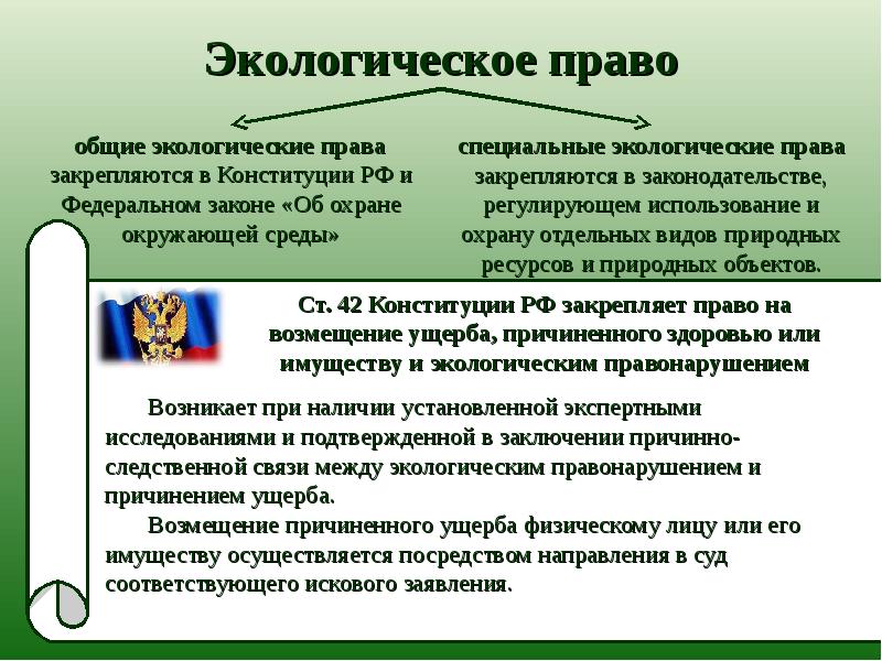 План по теме экологические права граждан и способы их защиты