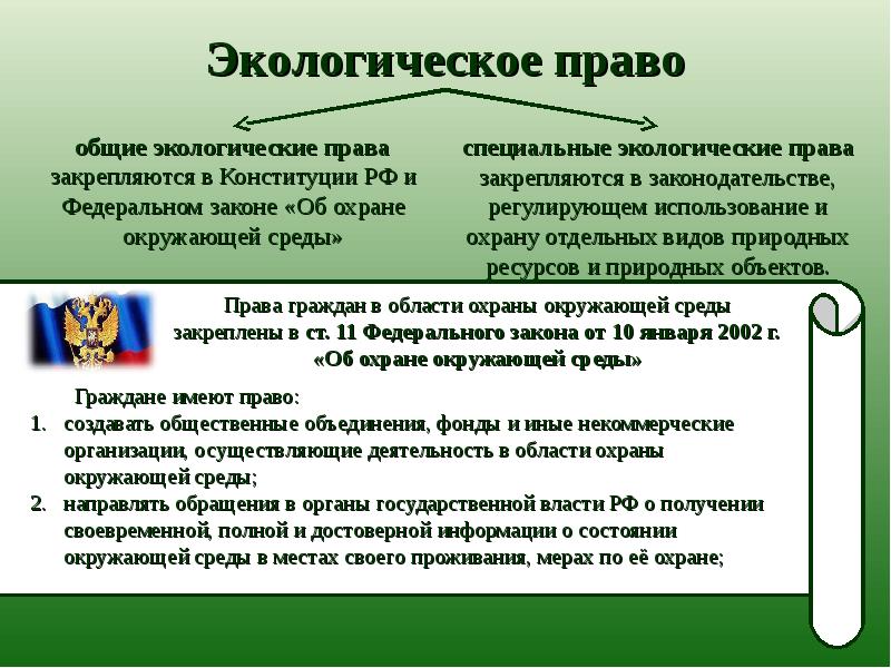 План экологические права и обязанности граждан рф