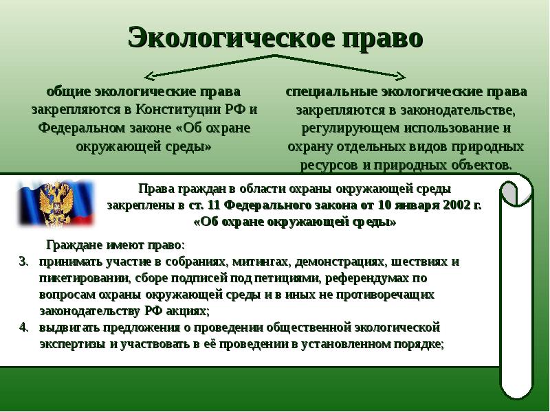 Найдите в проведении. Объекты экологического права. Субъекты экологического права. Экологическое право. Экологическое право проект.