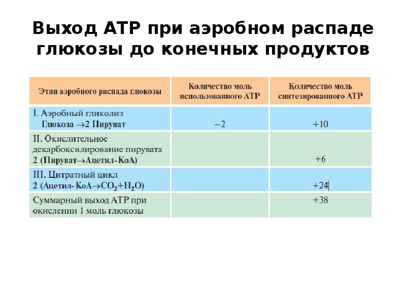 глицеральдегидфосфат. конечные продукты расщепления глюкозы. аэробный гликолиз схема процесса. конечным продуктом распада глюкозы является. конечным продуктом распада глюкозы является.