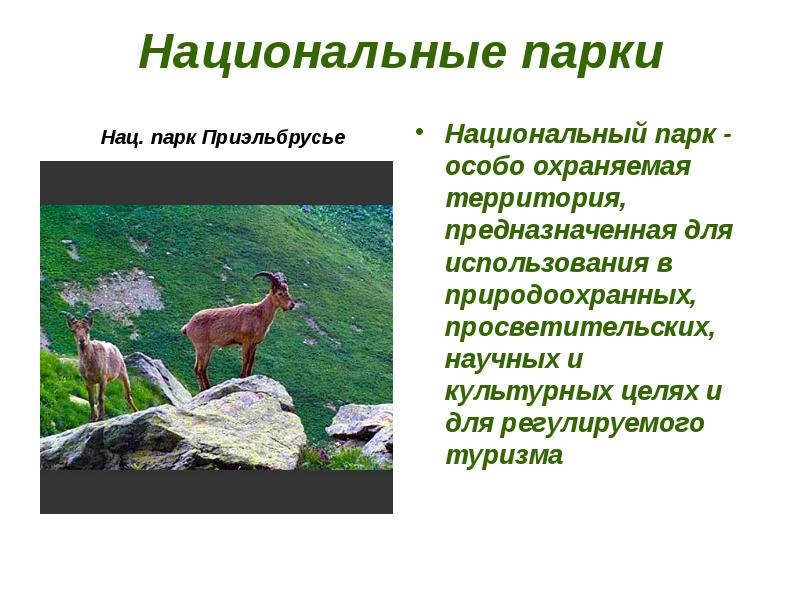 Охрана природы в россии презентация