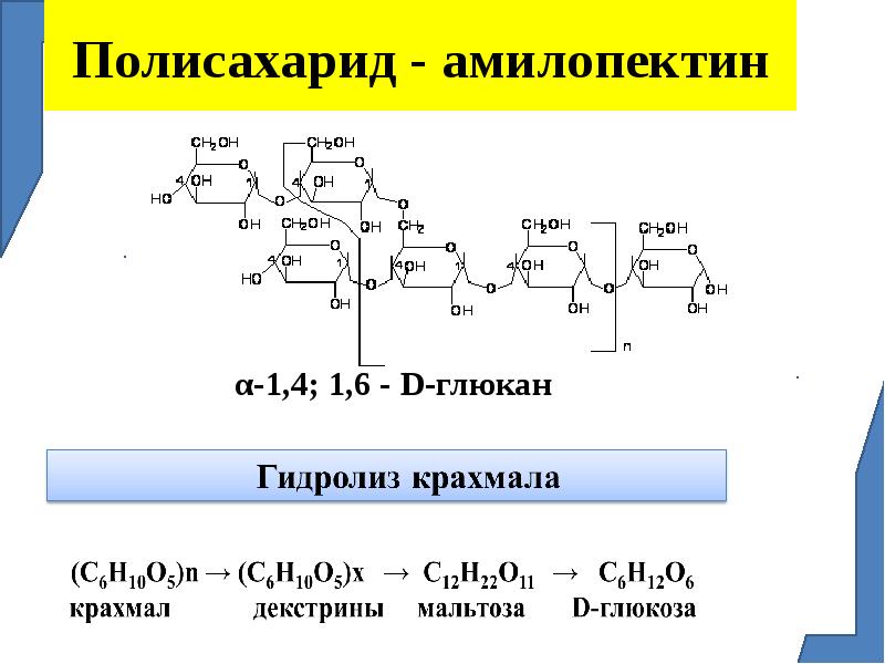 Полный гидролиз полисахаридов. Гидролиз амилопектина формула. Гидролиз амилопектина. Неполный гидролиз амилопектина. Амилопектин и вода реакция.