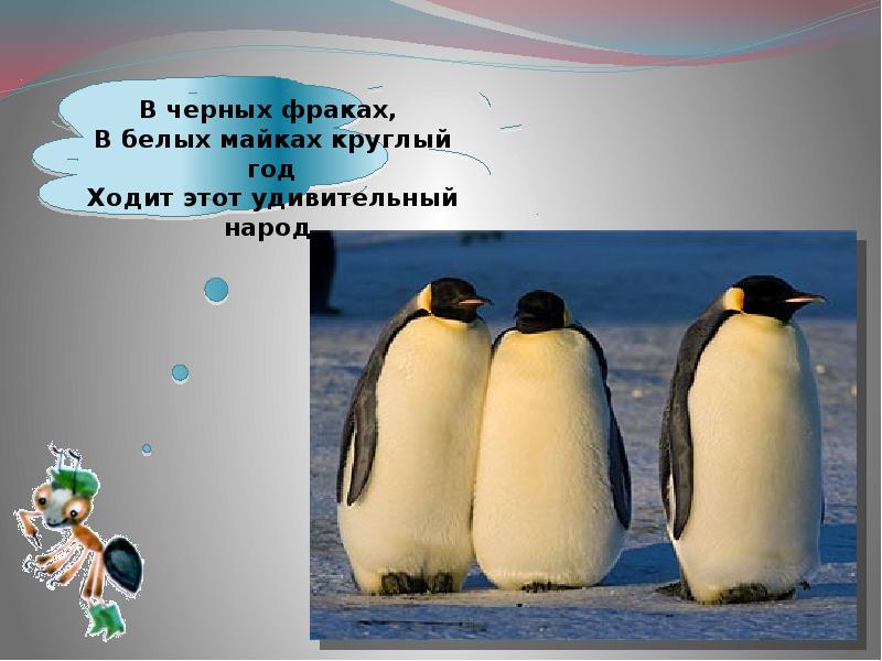 Презентация по окружающему миру 1 класс где живут белые медведи школа россии