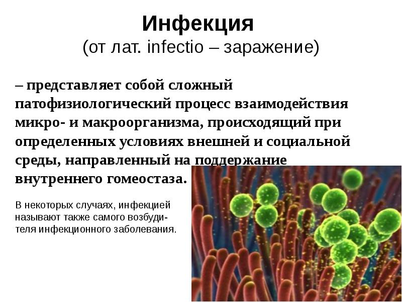 Инфекционный процесс вирусов. Инфекция и инфекционный процесс.