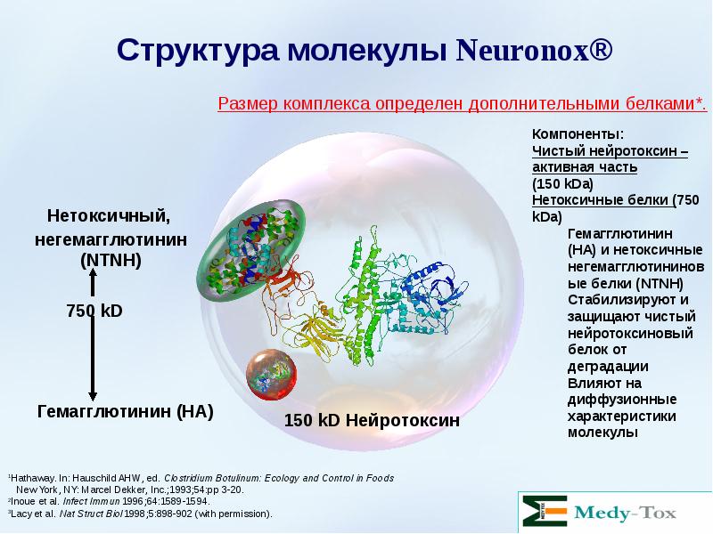 Молекула ботулотоксина фото