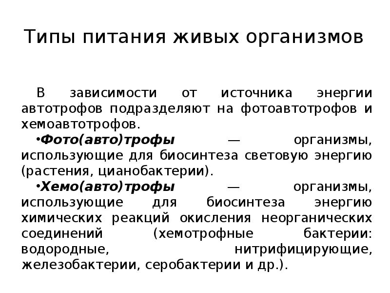 Питание организмов презентация 10 класс