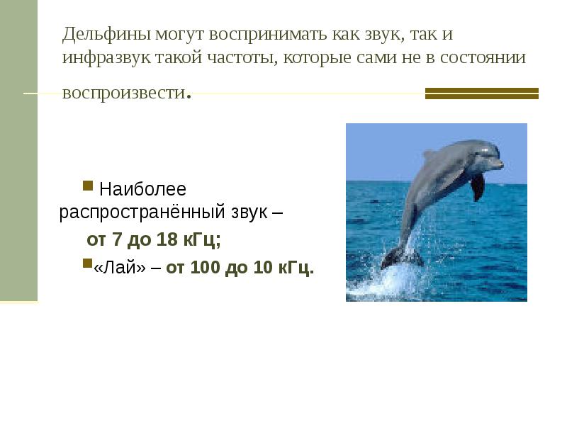 Дельфины могут воспринимать как звук, так и  инфразвук такой частоты,