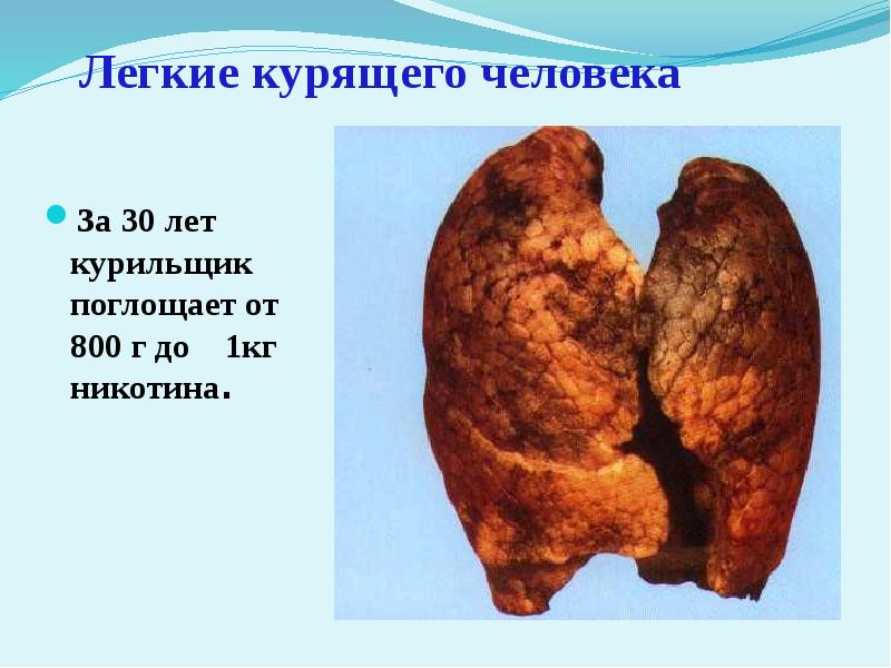 Влияние табакокурения на организм человека презентация