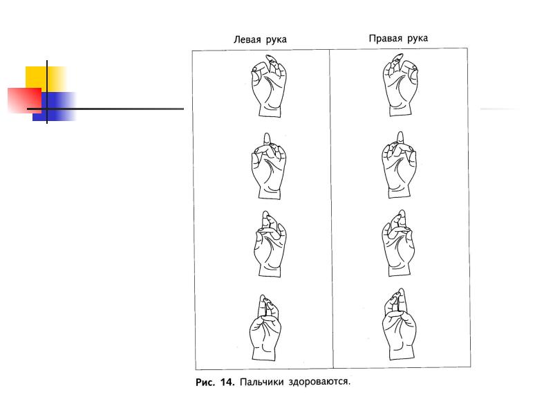 Безруких физиология развития ребенка. Марьяна Безруких психофизиология ребенка.