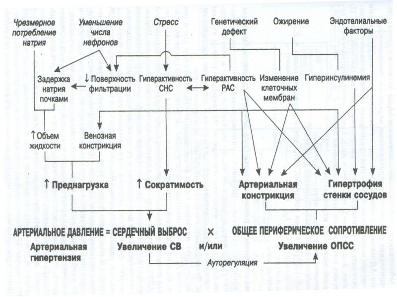 Схема гипертоническая болезнь