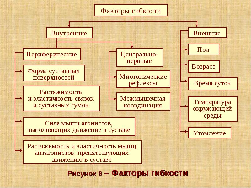 Развитие силы презентация