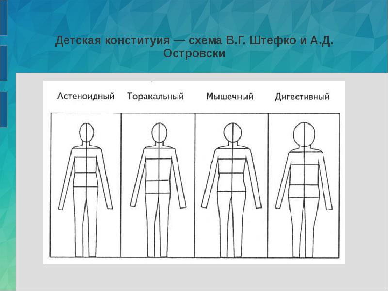 Схемы конституциональной диагностики галанта