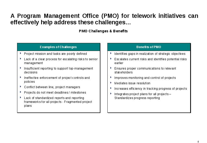 Program Management Office (PMO)