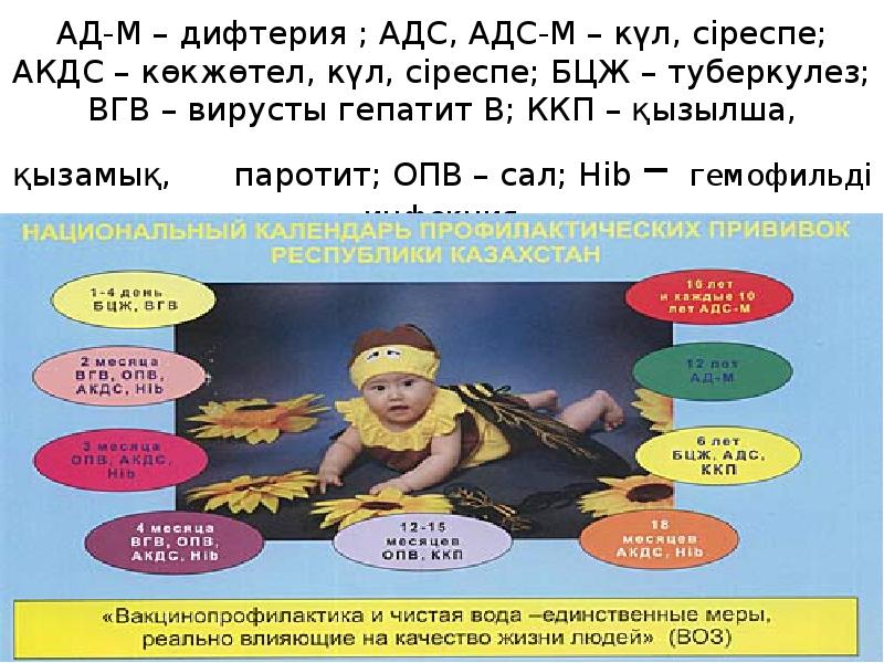 Сіреспе презентация қазақша