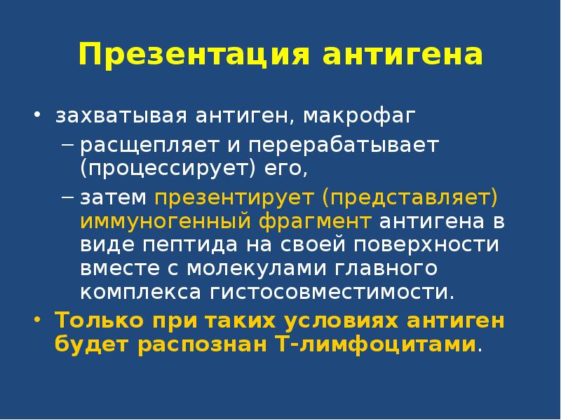 Презентация антигенов иммунология