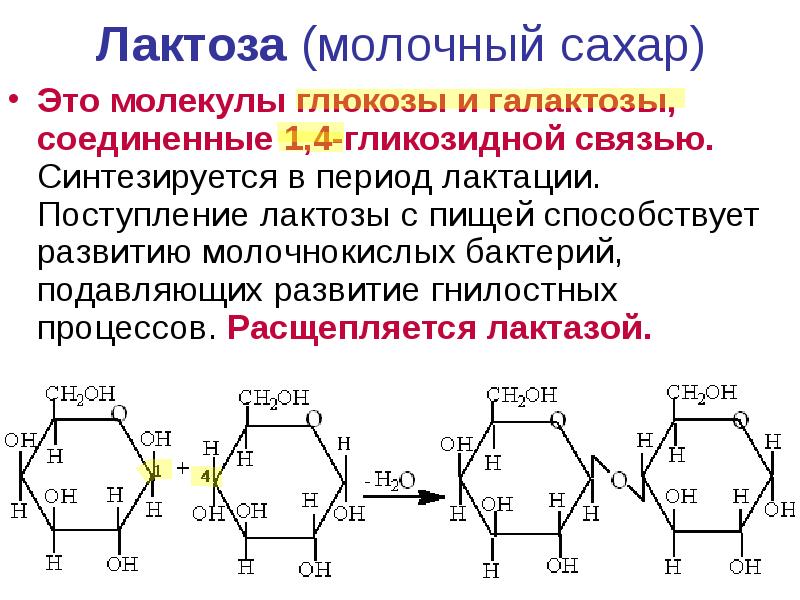 Что такое лактоза. Лактоза Тип гликозидной связи. Лактоза формула Глюкоза и галактоза. Лактоза характер и Тип гликозидной связи. Лактоза характер гликозидной связи.