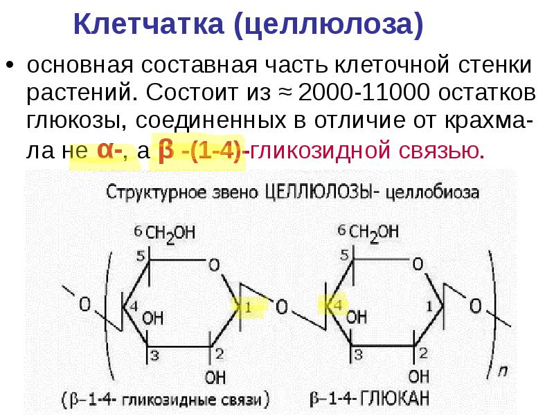 Из остатка молекула глюкозы состоят молекулы