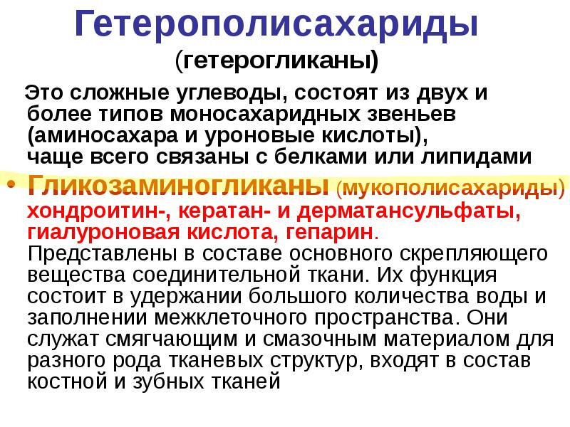 Функции углеводов в составе мембран