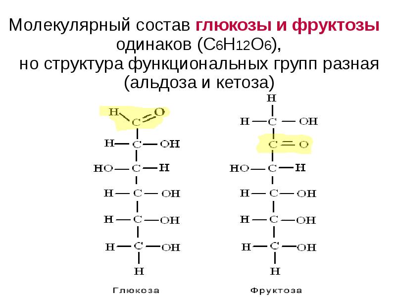 Какая молекула глюкозы