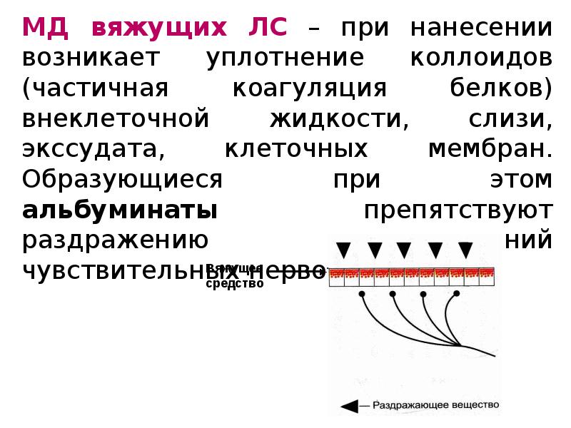 Лекарственные средства влияющие на афферентную иннервацию презентация