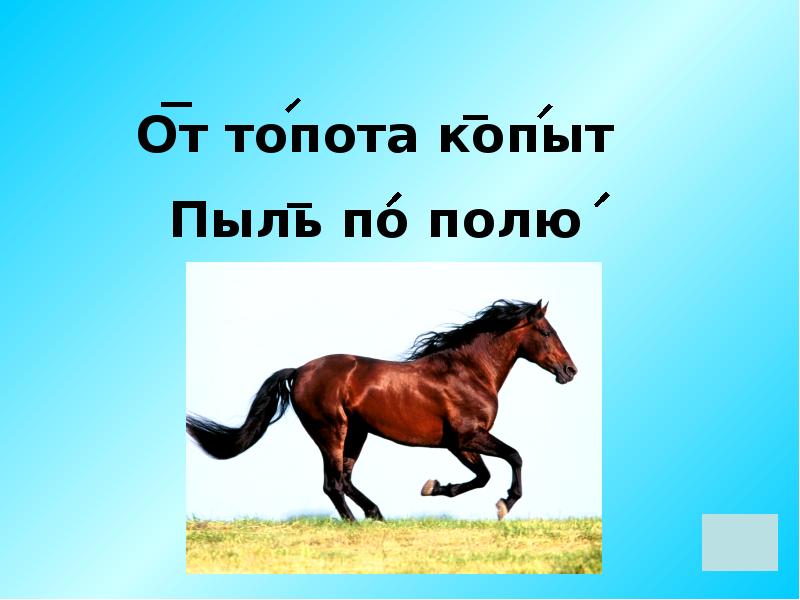 Из под топота копыт пыль по полю. Скороговорка от топота копыт. От топота копыт пыль. От топота копыт пыль по полю летит скороговорка. Поговорка от топота копыт.