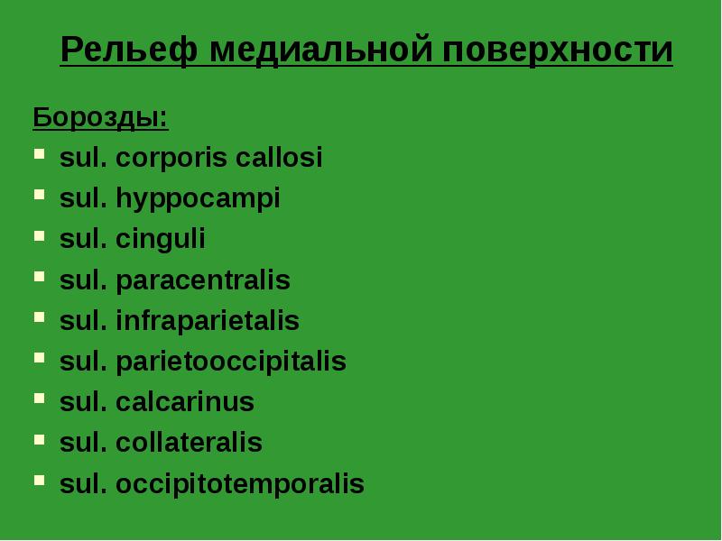 Рельеф медиальной поверхности
Борозды:
sul. corporis callosi
sul. hyppocampi
sul. cinguli
Рельеф медиальной поверхности
Борозды:
sul. corporis callosi
sul. hyppocampi
sul. cinguli