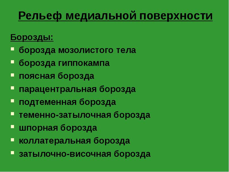 Рельеф медиальной поверхности
Борозды:
борозда мозолистого тела
борозда гиппокампа
поясная борозда
Рельеф медиальной поверхности
Борозды:
борозда мозолистого тела
борозда гиппокампа
поясная борозда