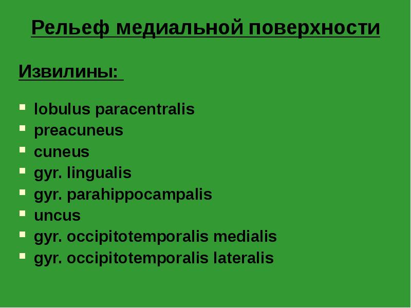 Рельеф медиальной поверхности
Извилины:
lobulus paracentralis
preacuneus
cuneus
gyr. Рельеф медиальной поверхности
Извилины:
lobulus paracentralis
preacuneus
cuneus
gyr.