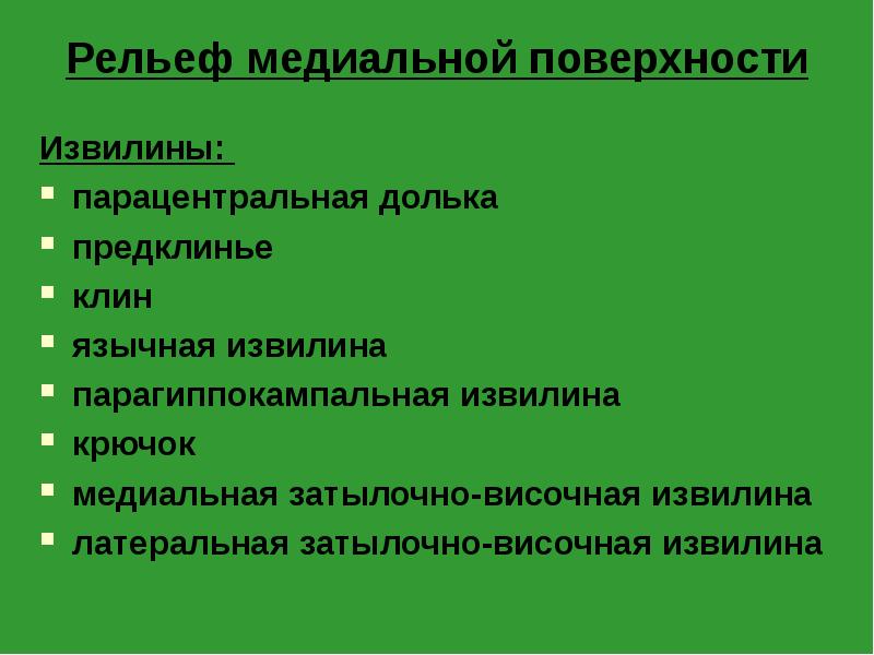 Рельеф медиальной поверхности
Извилины:
парацентральная долька
предклинье
клин
язычная извилина
Рельеф медиальной поверхности
Извилины:
парацентральная долька
предклинье
клин
язычная извилина