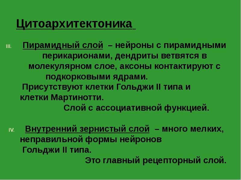 Цитоархитектоника
Пирамидный слой – нейроны с пирамидными перикарионами, Цитоархитектоника
Пирамидный слой – нейроны с пирамидными перикарионами,