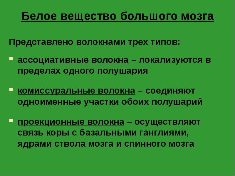 большие полушария структуры белого вещества. виды нервных волокон белого вещества на латыни. типы волокон белого вещества. типы волокон белого вещества головного мозга. комиссуральные проводящие пути головного мозга.