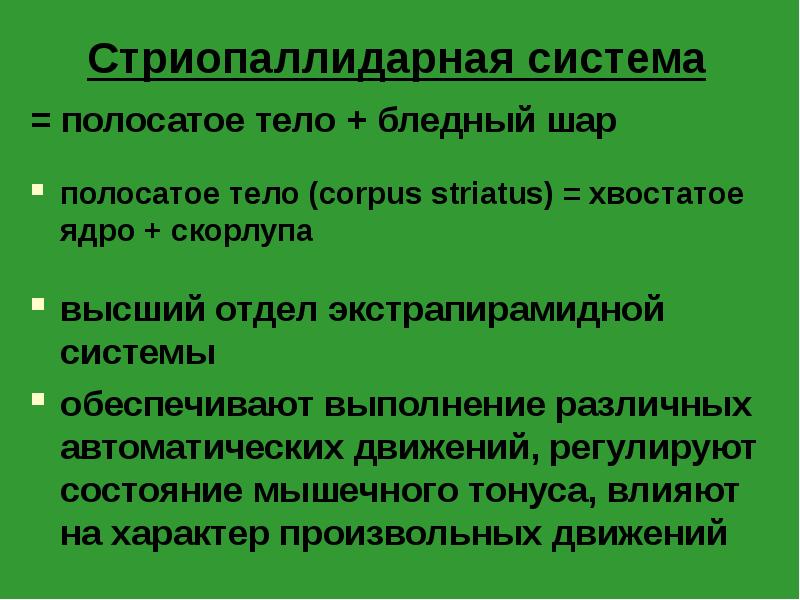 Схема стриопаллидарной системы