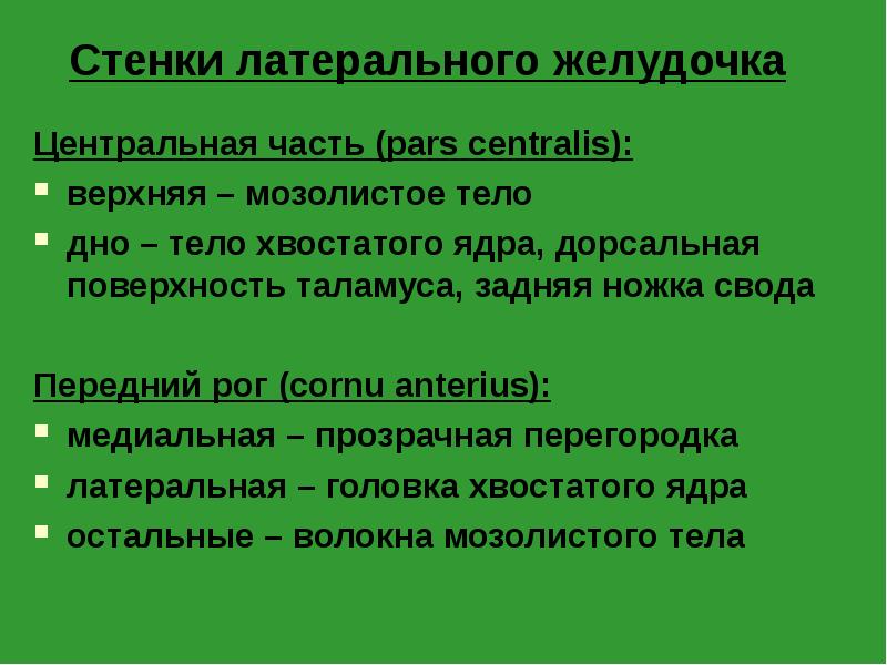 Стенки латерального желудочка
Центральная часть (pars centralis):
верхняя – мозолистое тело
Стенки латерального желудочка
Центральная часть (pars centralis):
верхняя – мозолистое тело