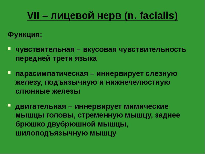 VII – лицевой нерв (n. facialis)
Функция:
чувствительная – вкусовая VII – лицевой нерв (n. facialis)
Функция:
чувствительная – вкусовая