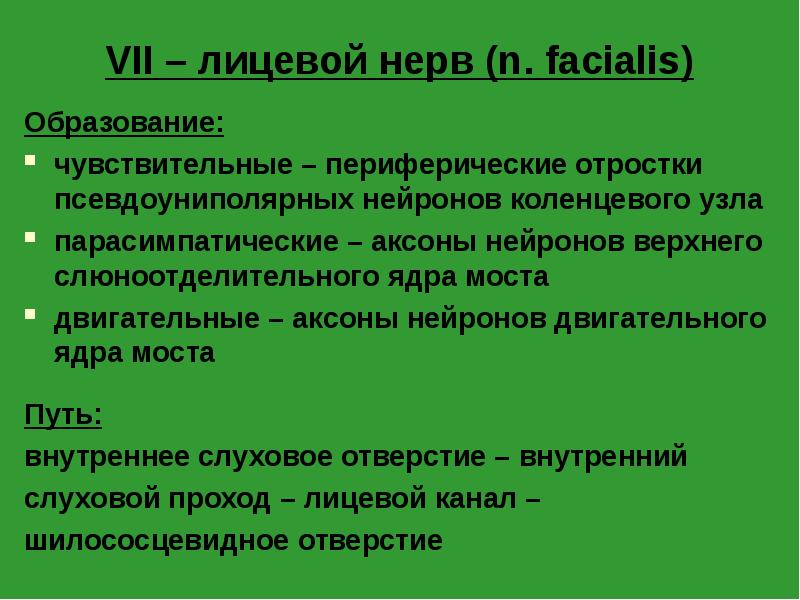 VII – лицевой нерв (n. facialis)
Образование:
чувствительные – периферические отростки VII – лицевой нерв (n. facialis)
Образование:
чувствительные – периферические отростки