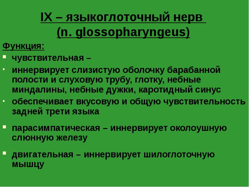 IX – языкоглоточный нерв (n. glossopharyngeus)
Функция:
чувствительная –
IX – языкоглоточный нерв (n. glossopharyngeus)
Функция:
чувствительная –
