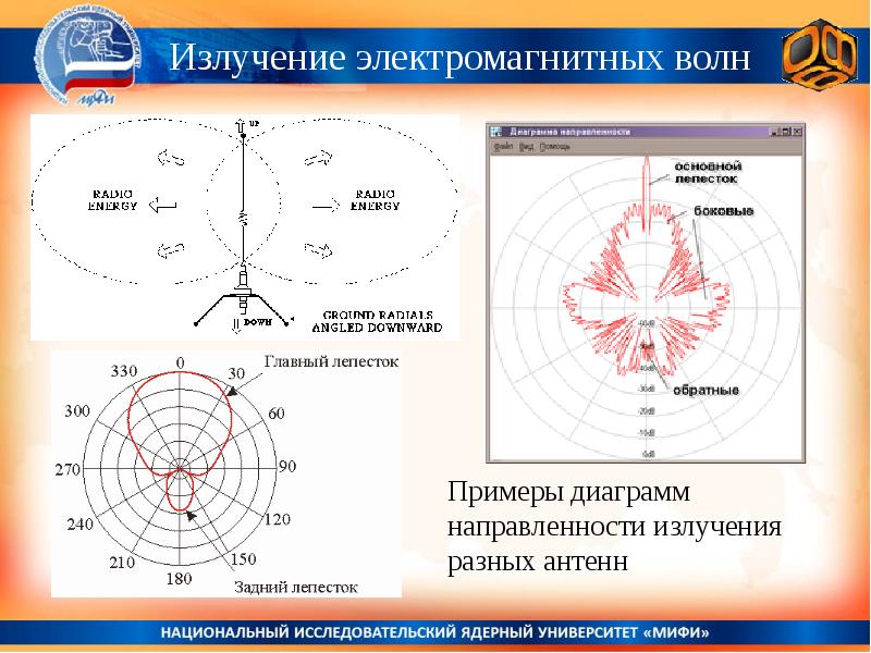 Лепестков диаграмма